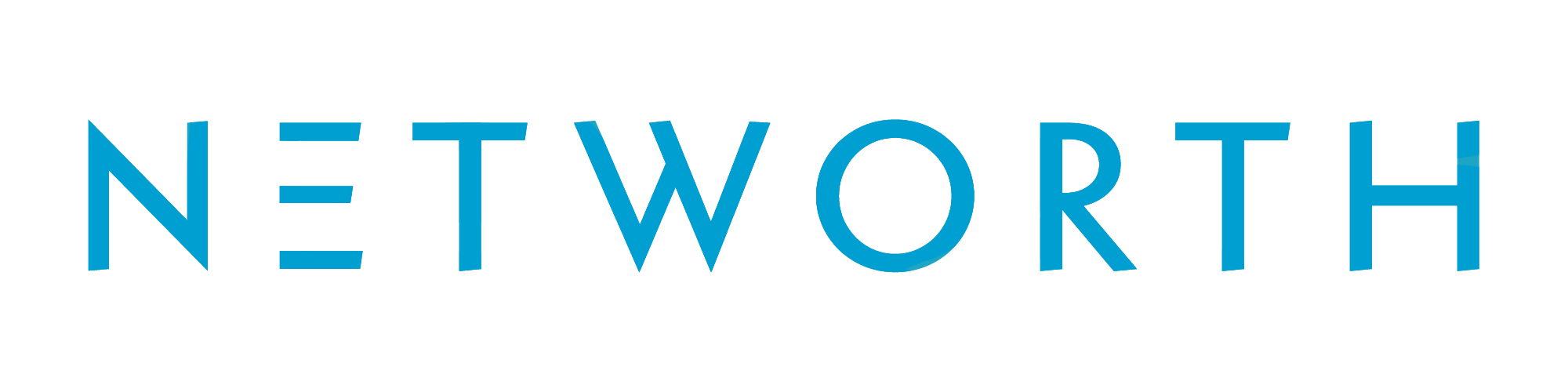 logo networth