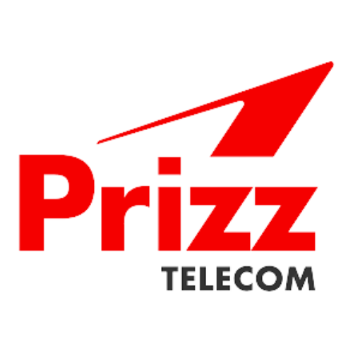 logo prizz